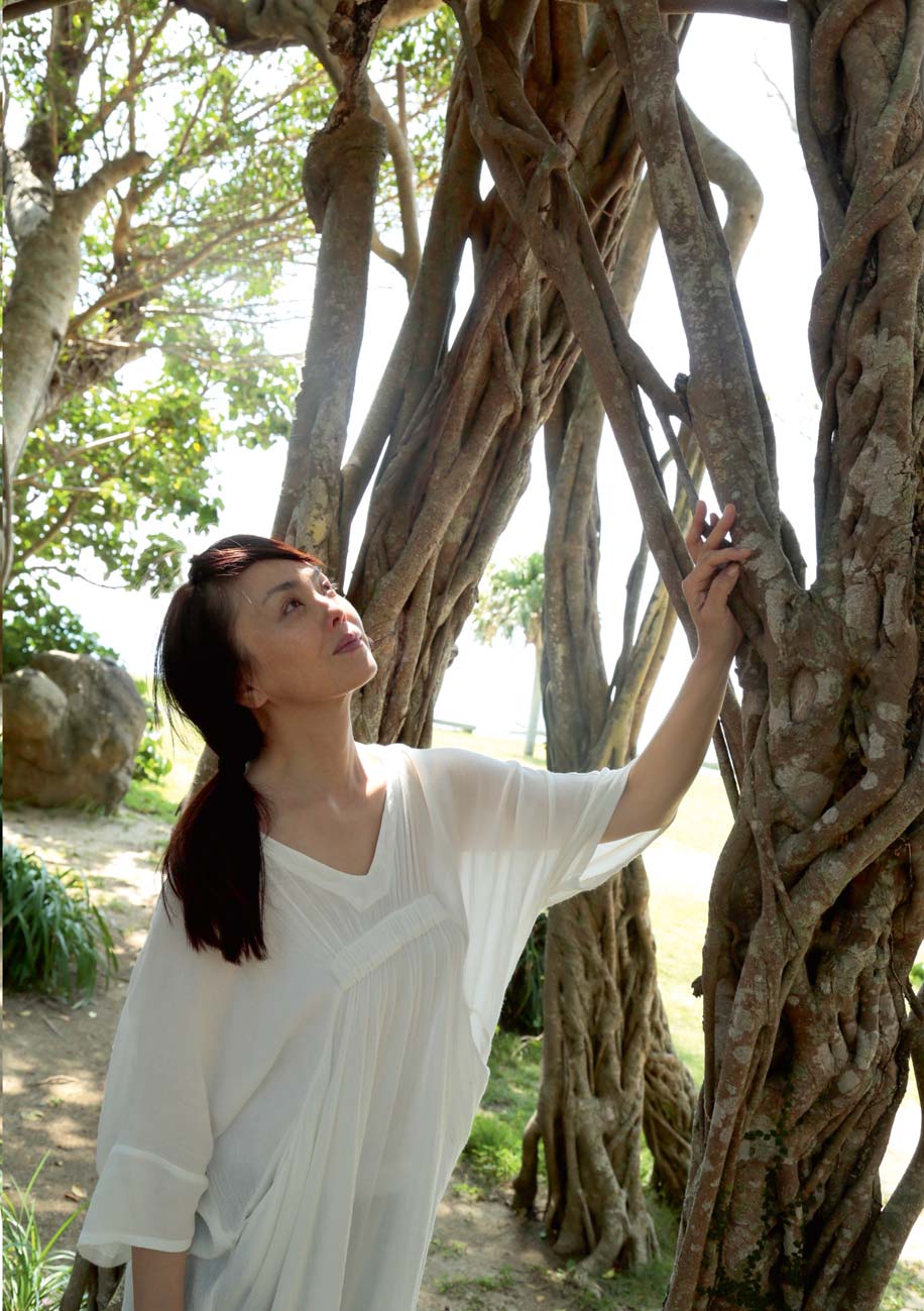 第二扇窗剧照的剧照