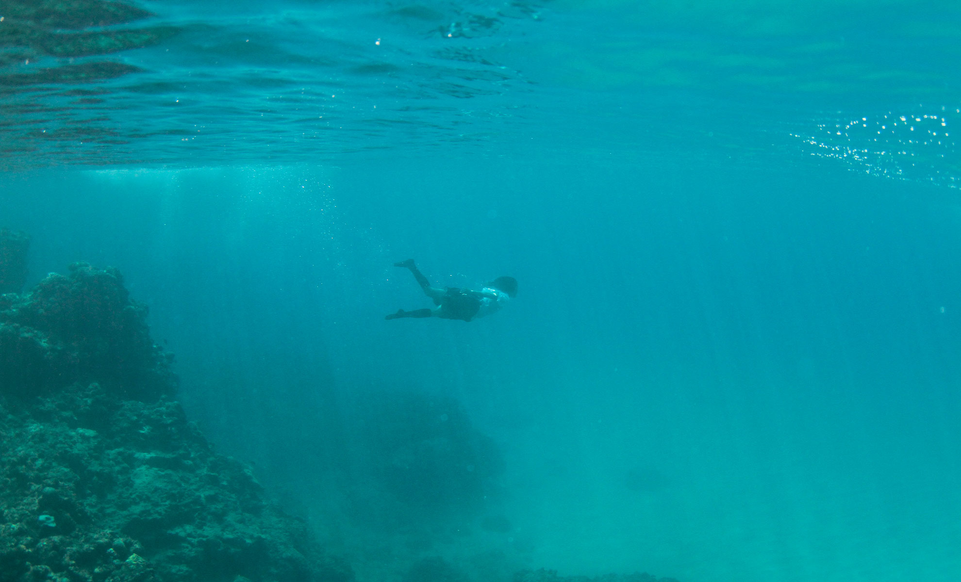 第二扇窗剧照的剧照