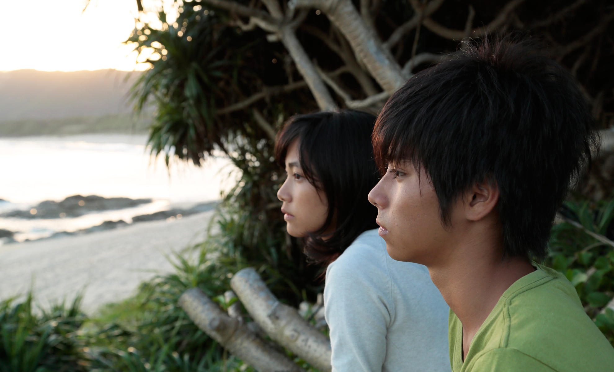 第二扇窗剧照的剧照