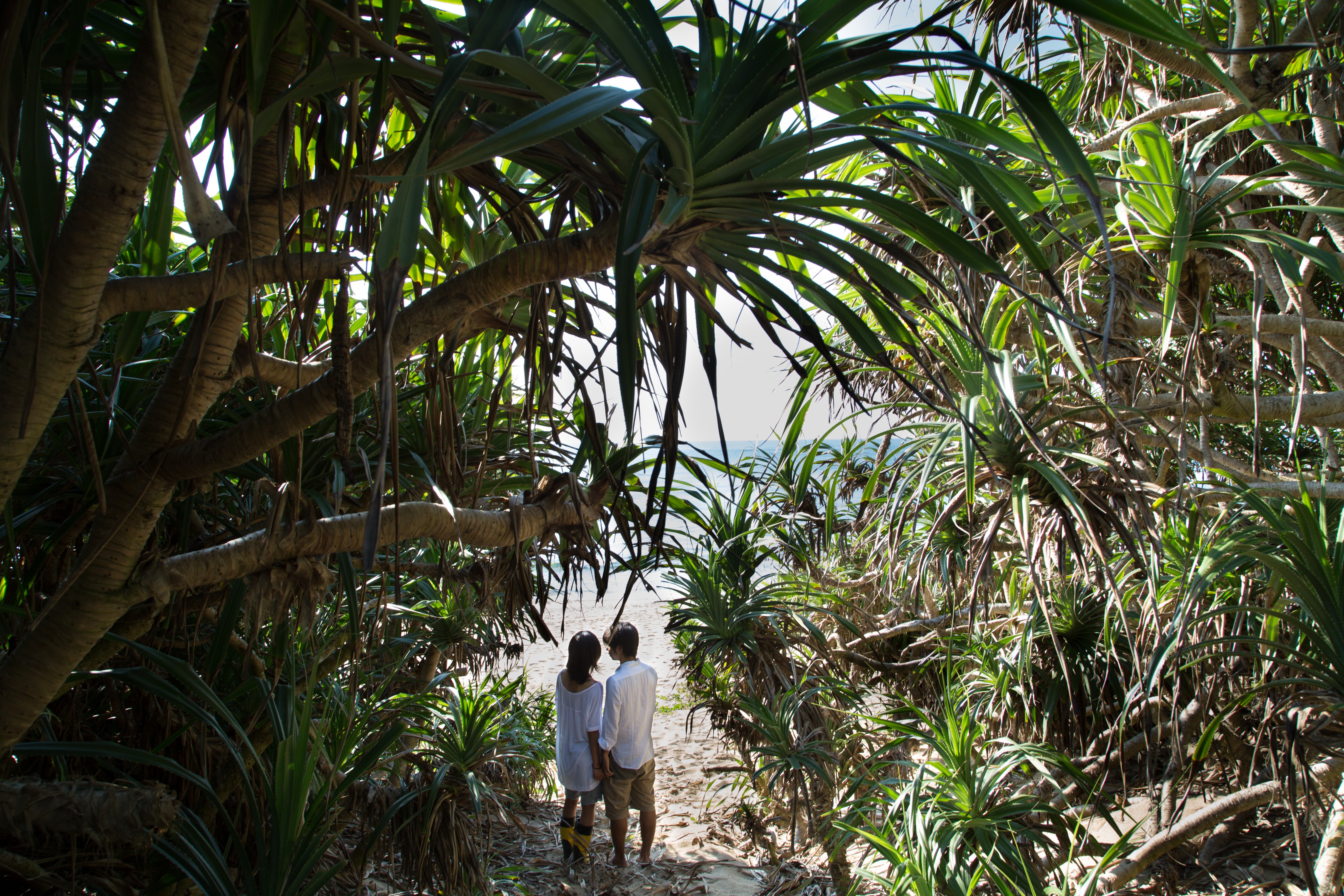第二扇窗剧照的剧照