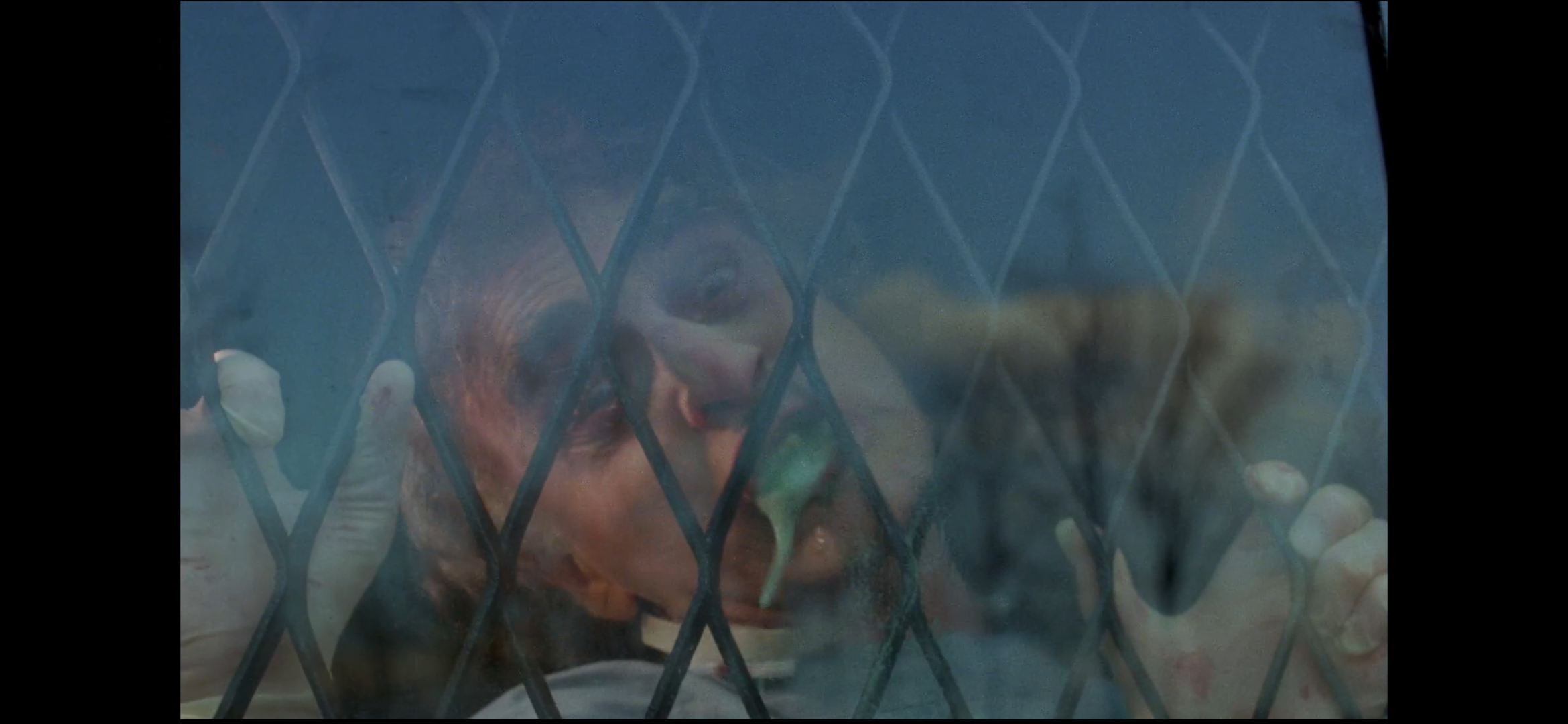 狂犬病剧照的剧照