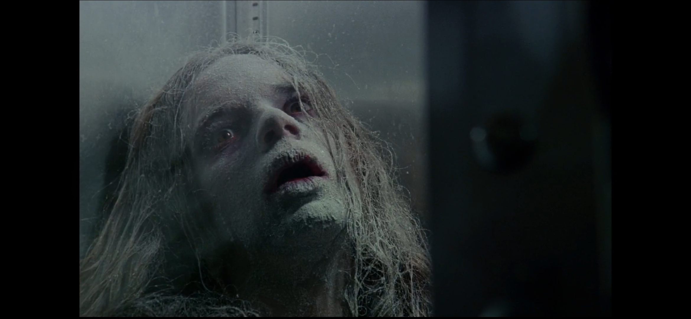 狂犬病剧照的剧照