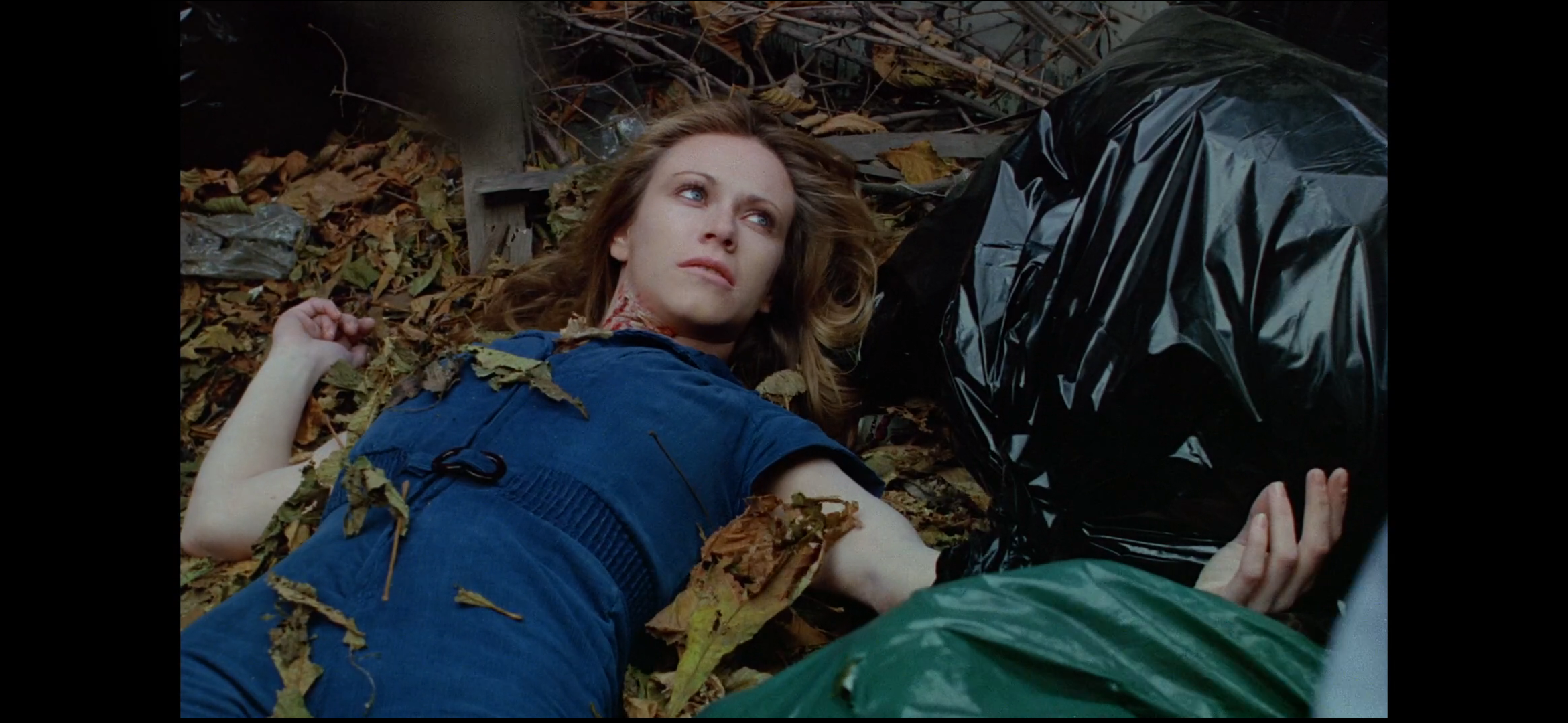 狂犬病剧照的剧照