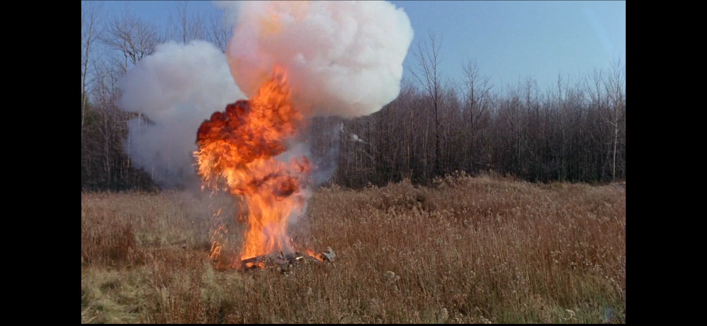 狂犬病剧照的剧照