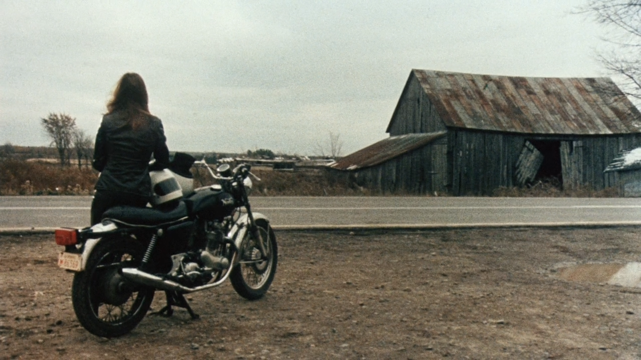 狂犬病剧照的剧照