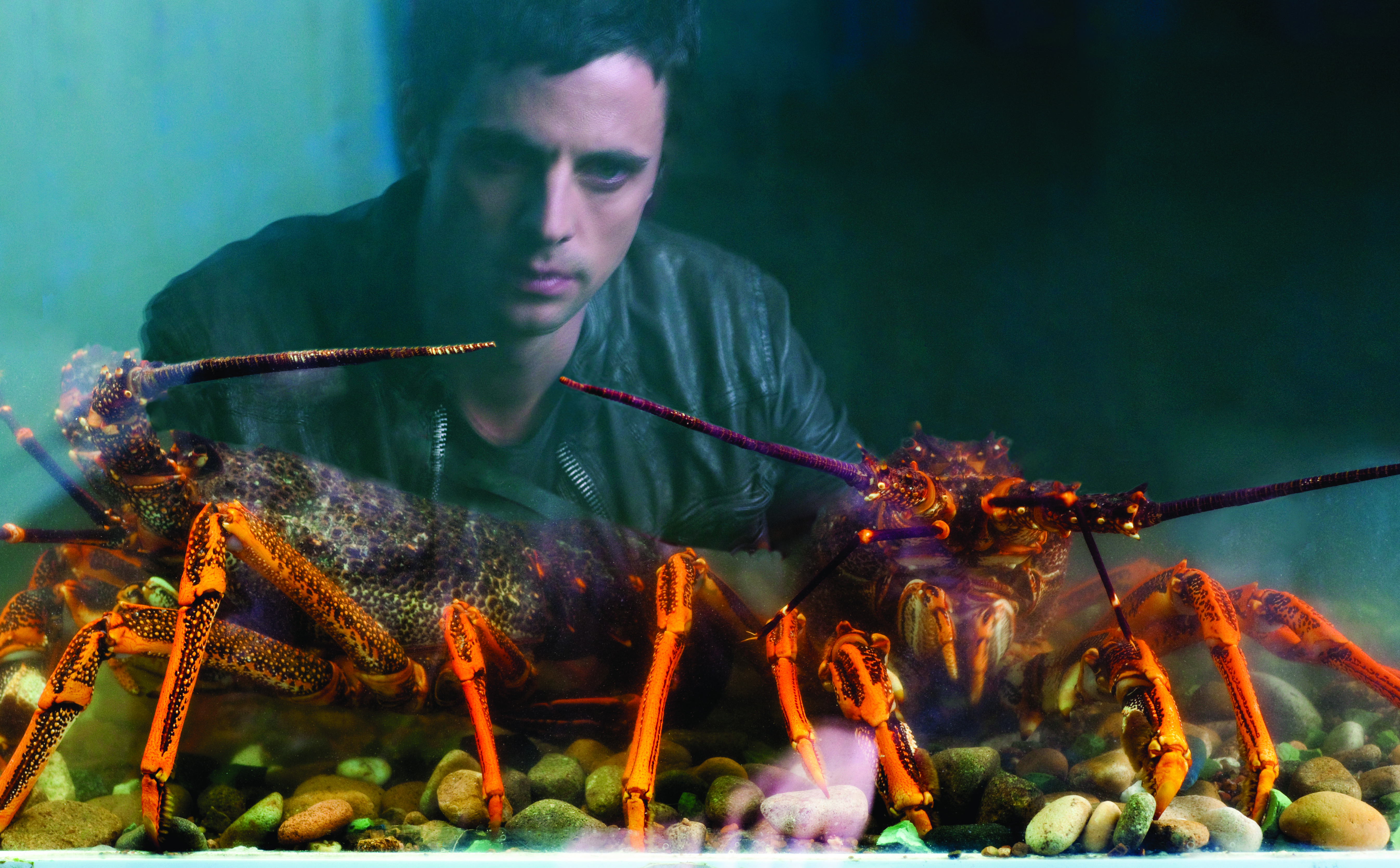 火人剧照的剧照