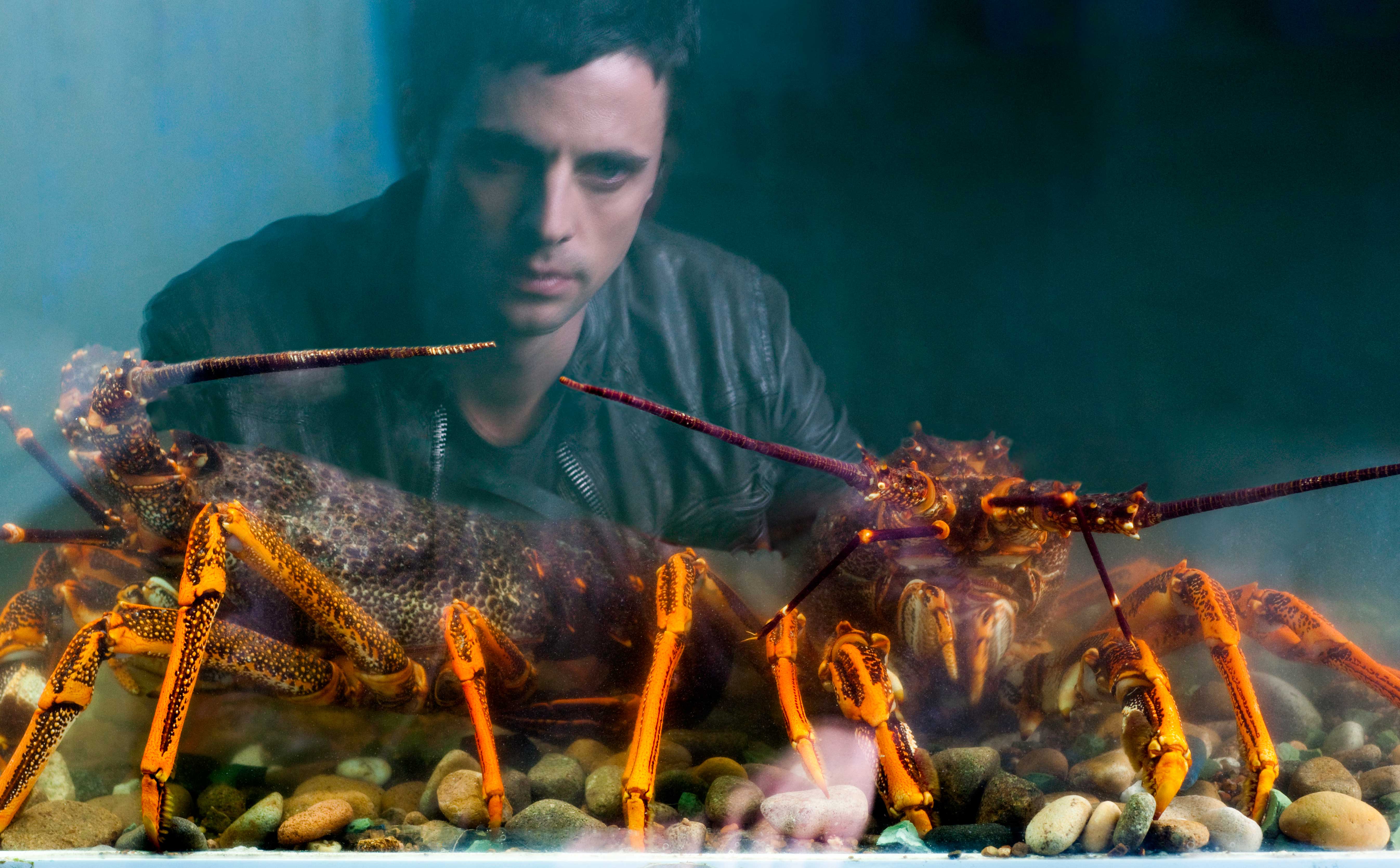 火人剧照的剧照