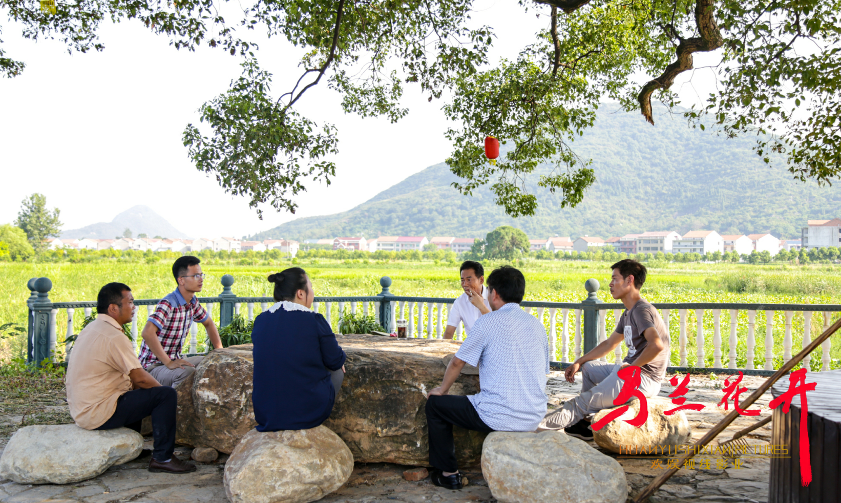 马兰花开剧照的剧照