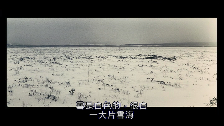 少年剧照的剧照