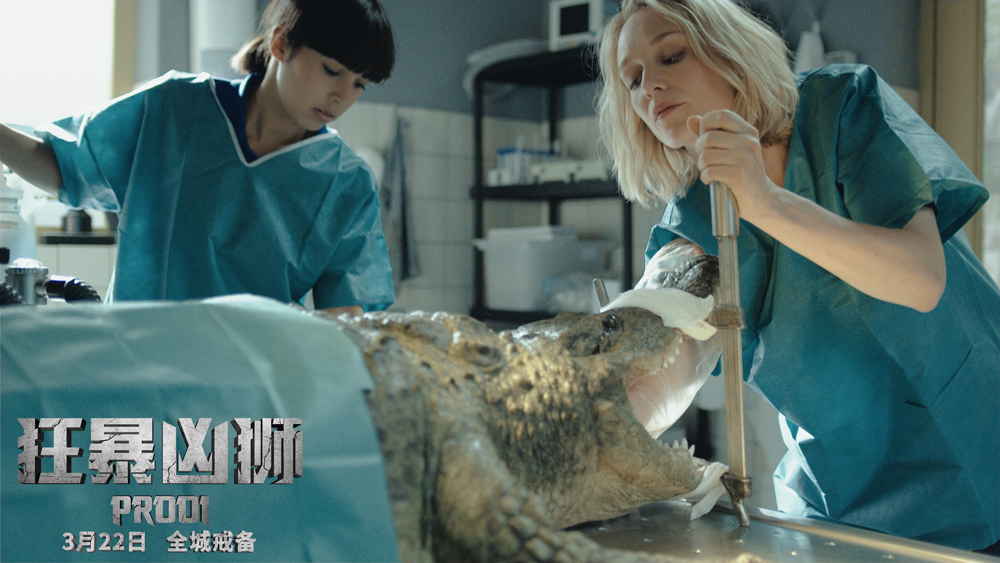 狂暴凶狮剧照的剧照