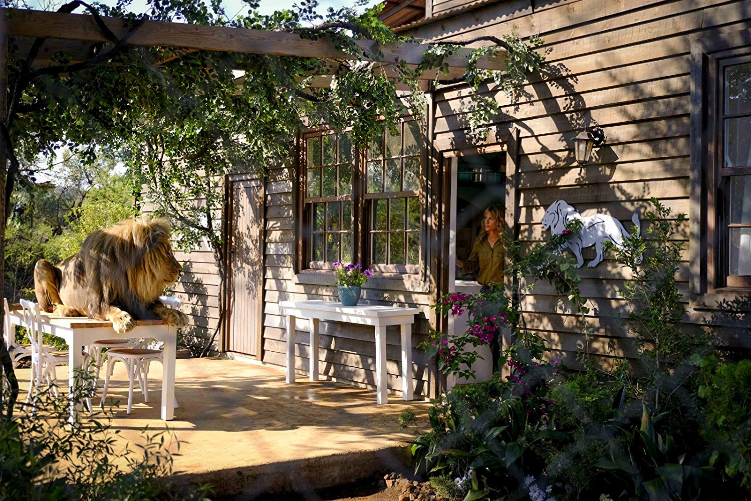 米娅和白狮剧照的剧照