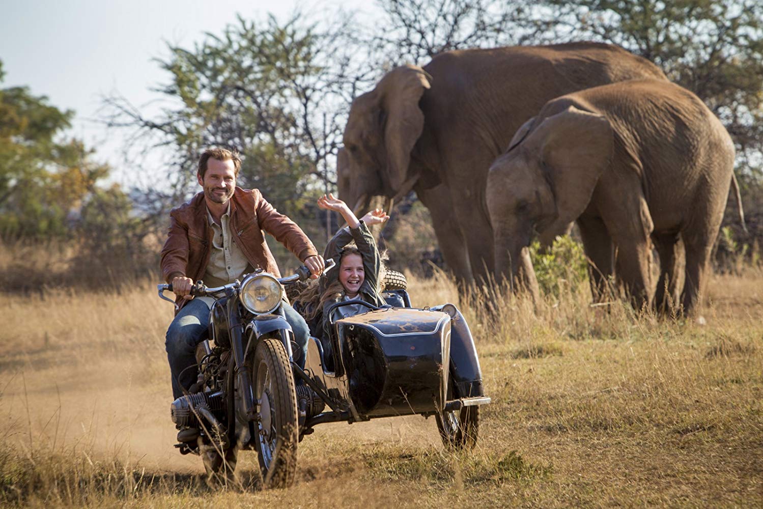 米娅和白狮剧照的剧照