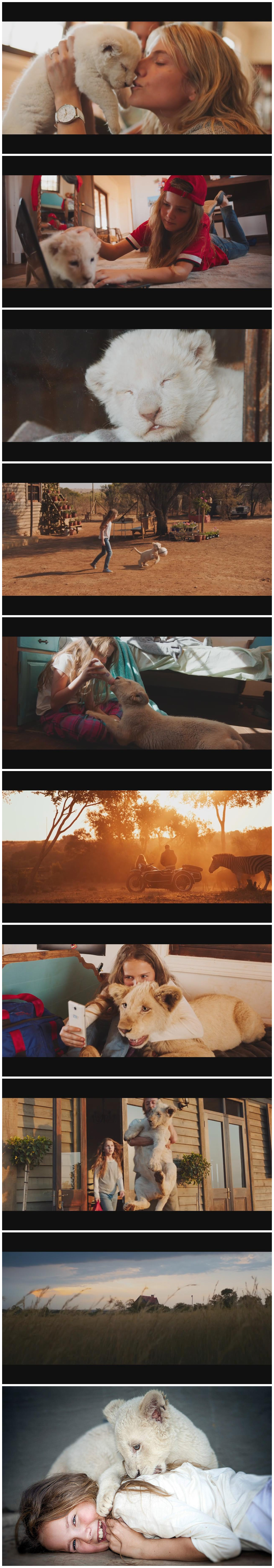 米娅和白狮剧照的剧照