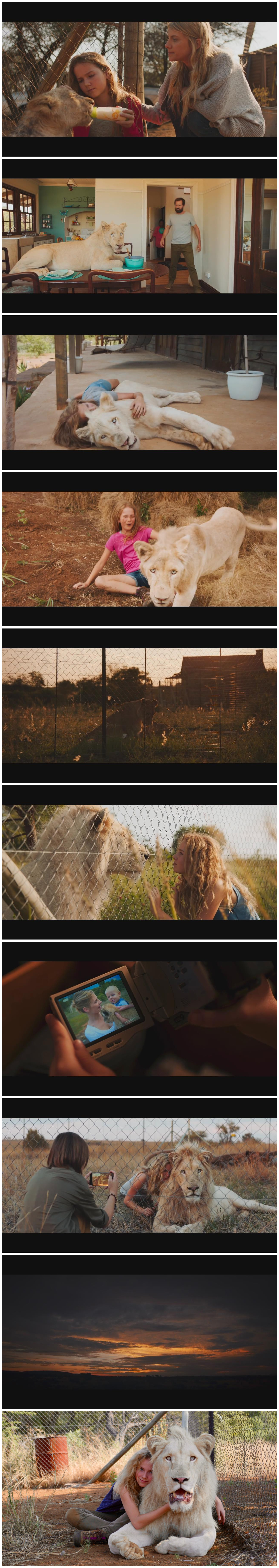 米娅和白狮剧照的剧照