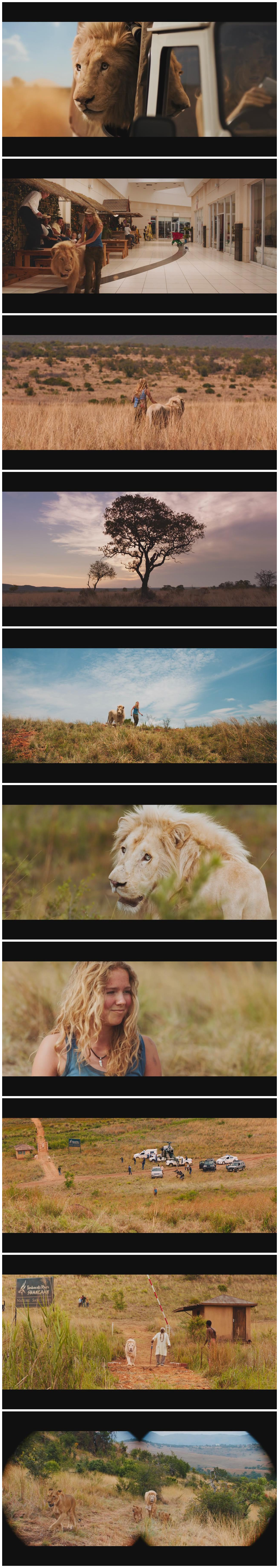 米娅和白狮剧照的剧照
