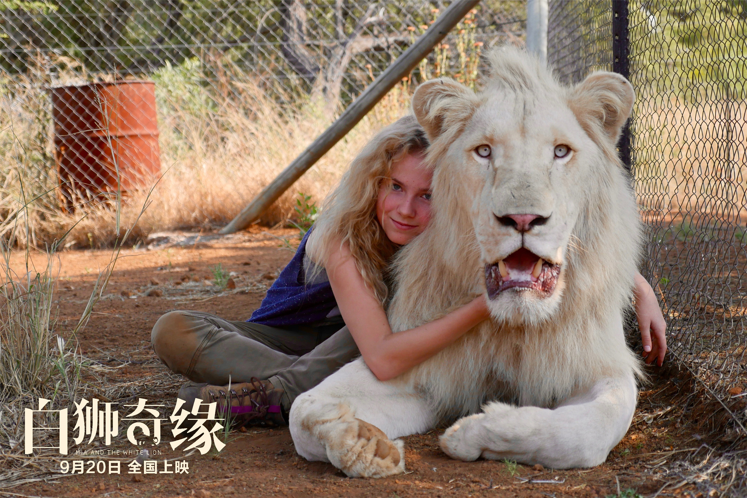 米娅和白狮剧照的剧照