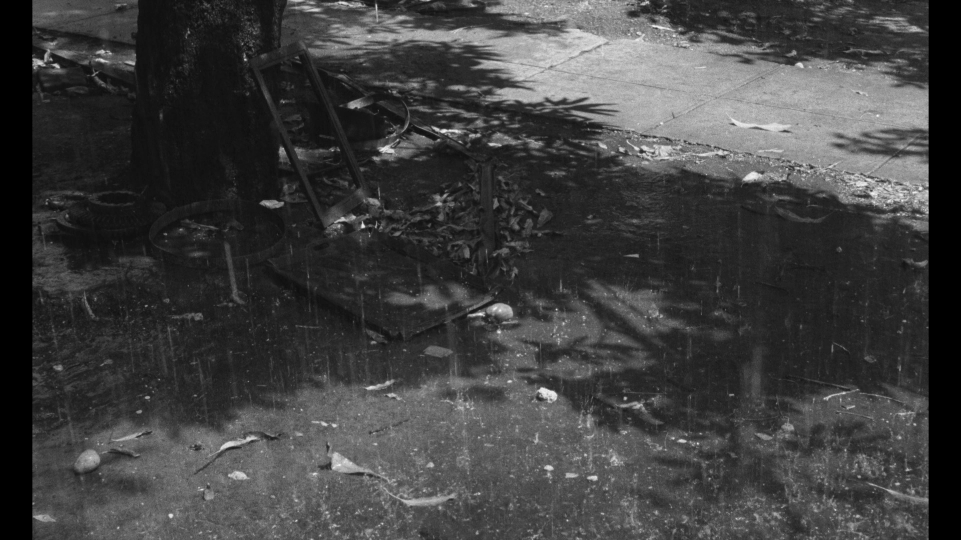 低度开发的回忆剧照的剧照