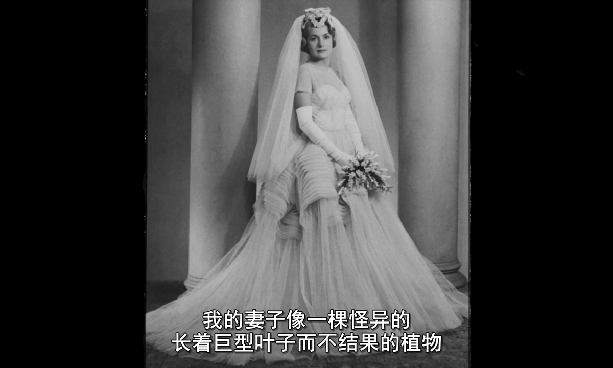 低度开发的回忆剧照的剧照