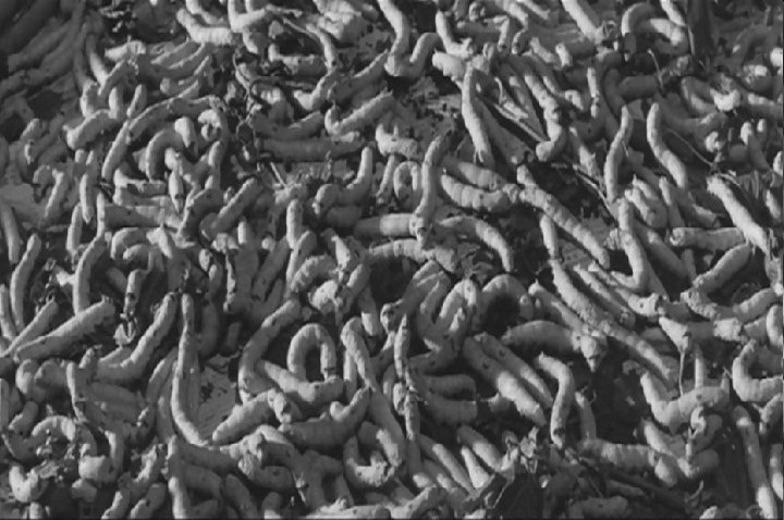 赤色杀机剧照的剧照