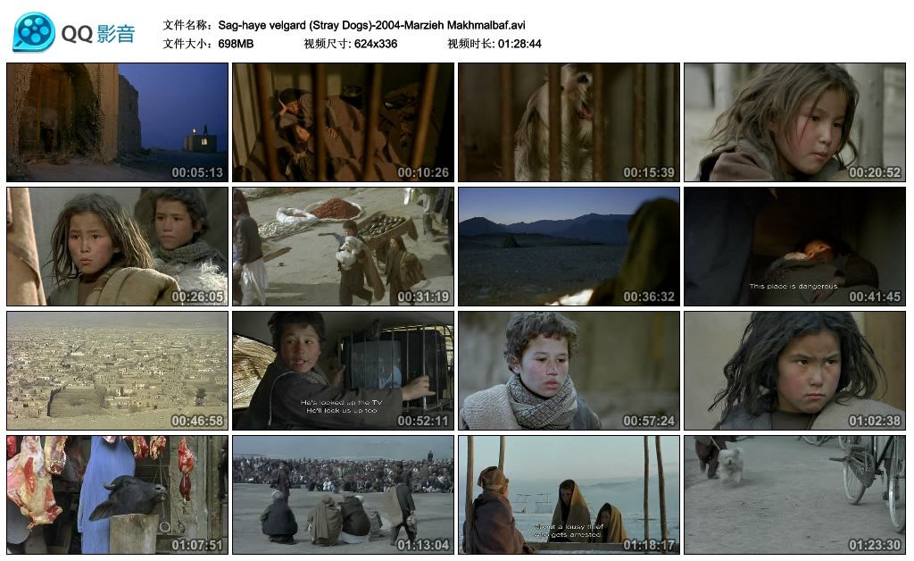 流浪狗剧照的剧照