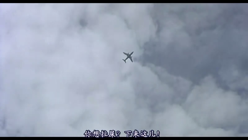 流浪狗剧照的剧照