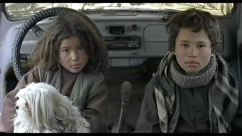 流浪狗剧照的剧照