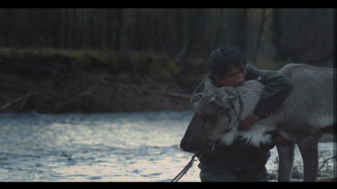 这里，那里剧照的剧照