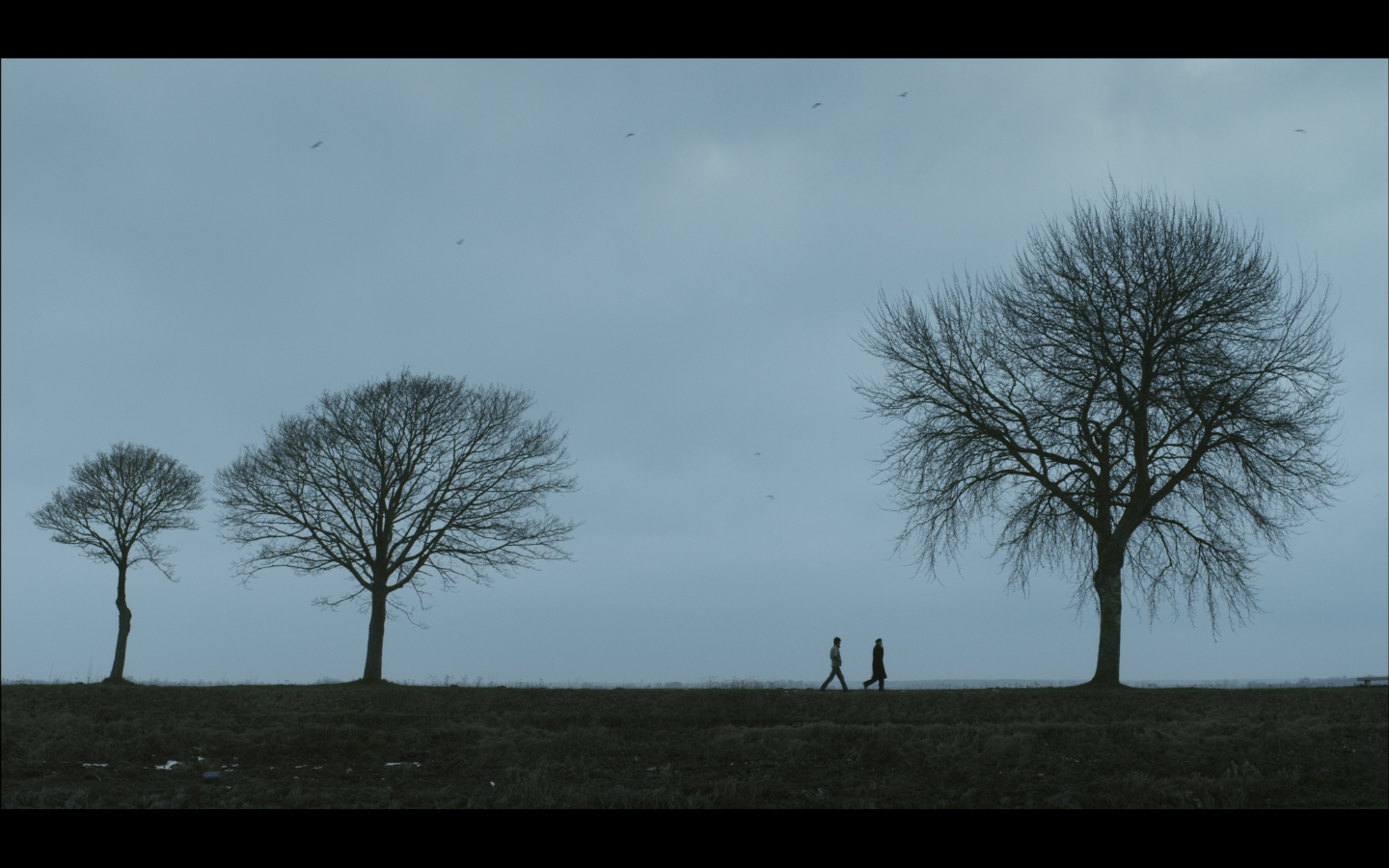 这里，那里剧照的剧照