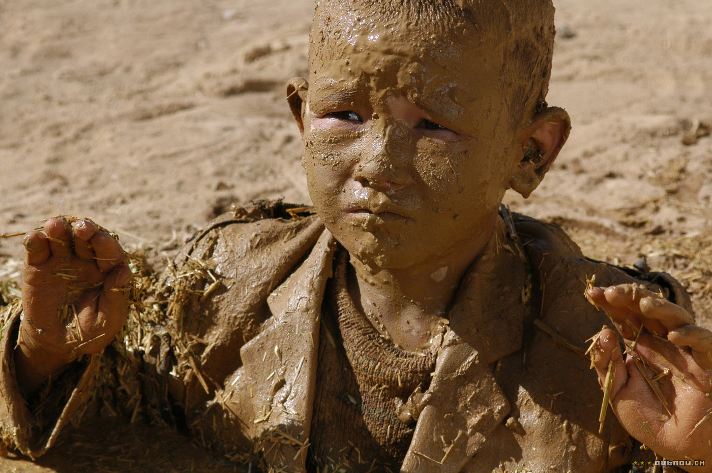 佛在耻辱中倒塌剧照的剧照