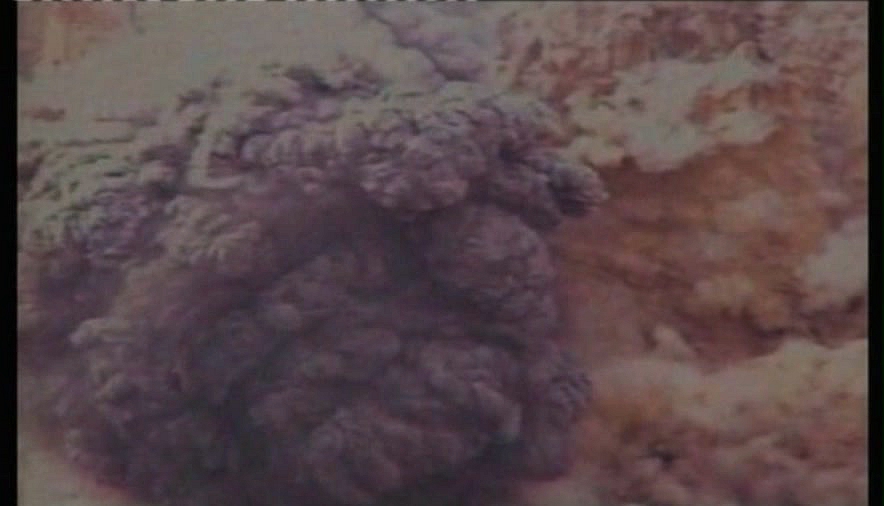 佛在耻辱中倒塌剧照的剧照