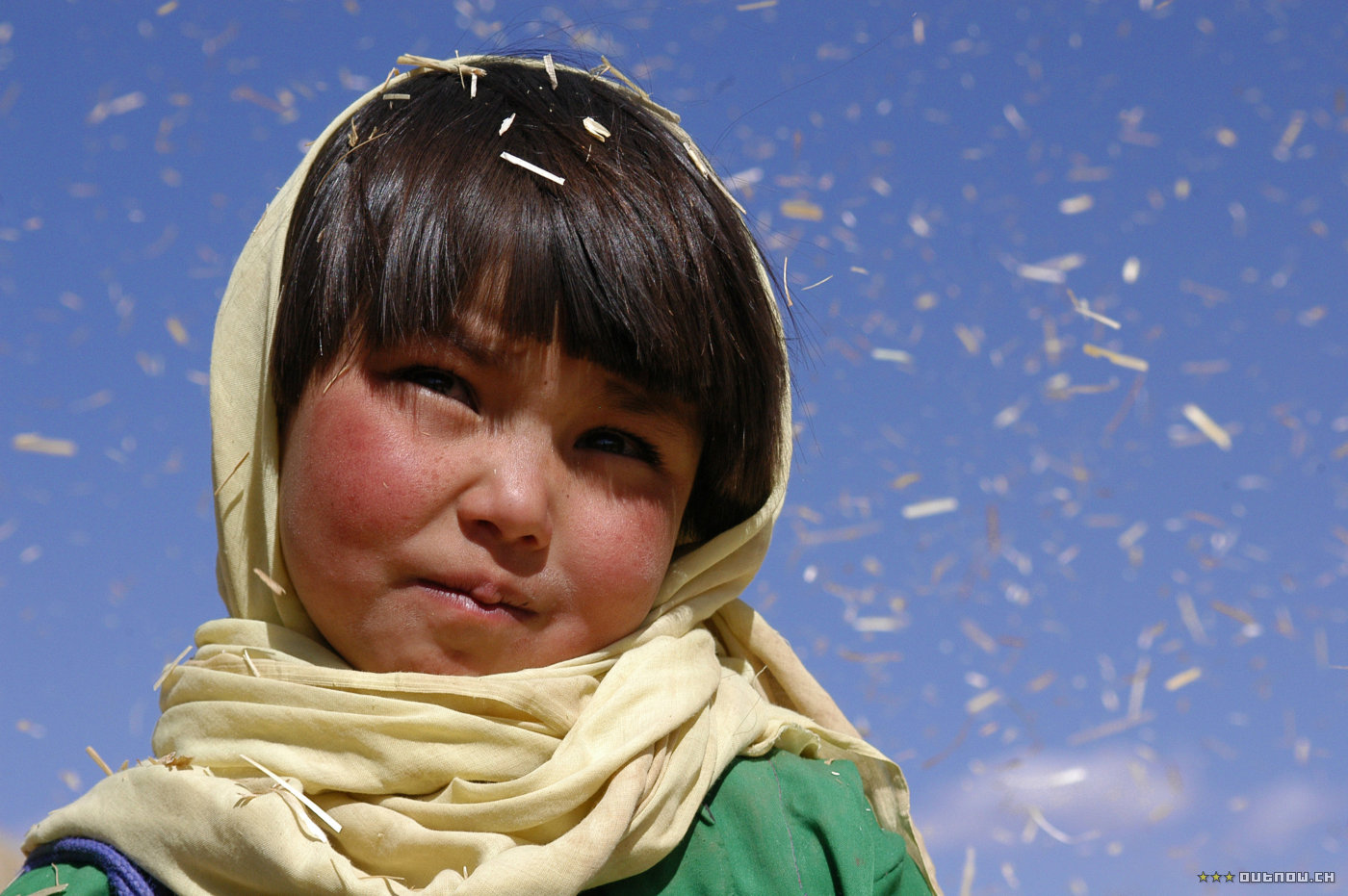 佛在耻辱中倒塌剧照的剧照