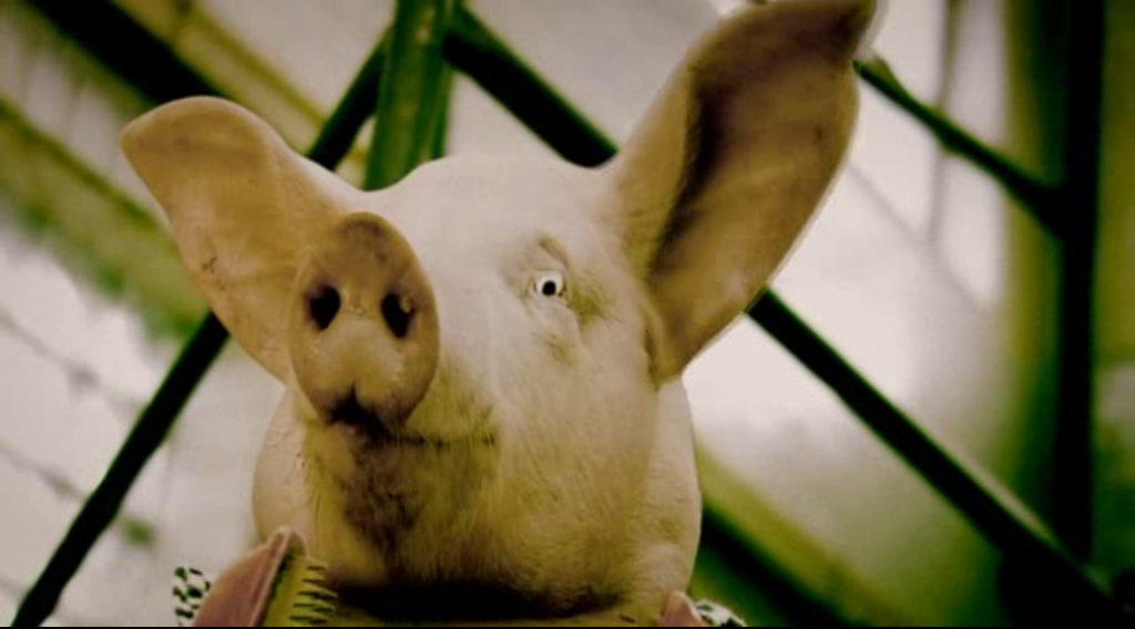 布拉格狂想曲剧照的剧照