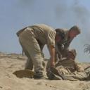 盟军敢死队剧照