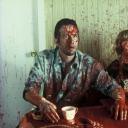 航向热带岛屿的冰山剧照