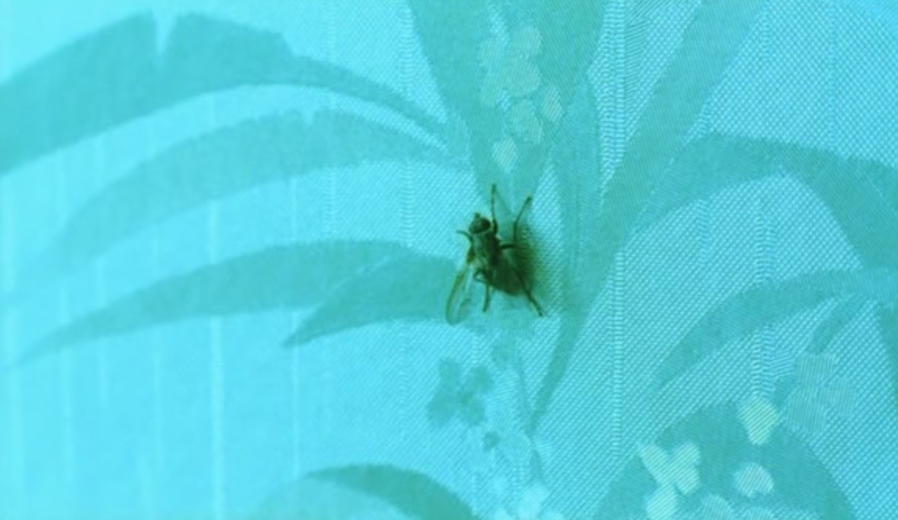 航向热带岛屿的冰山剧照的剧照