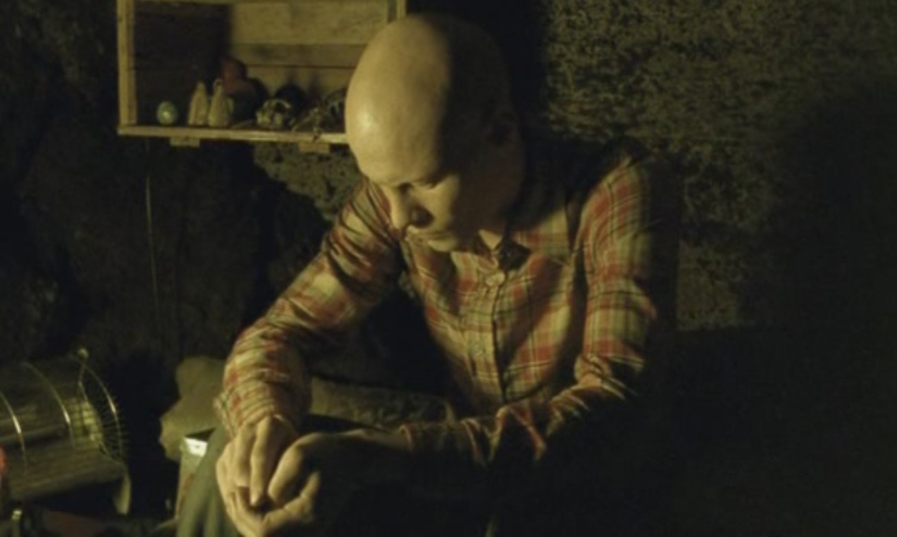 航向热带岛屿的冰山剧照的剧照