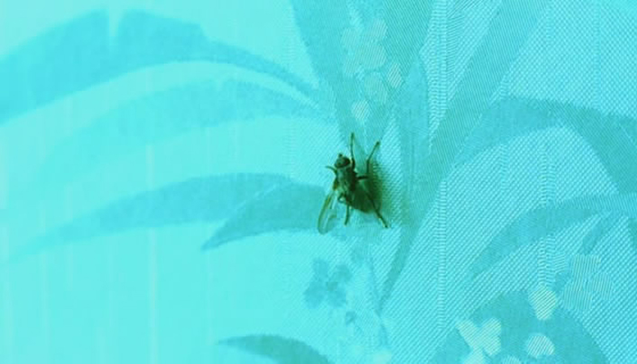 航向热带岛屿的冰山剧照的剧照