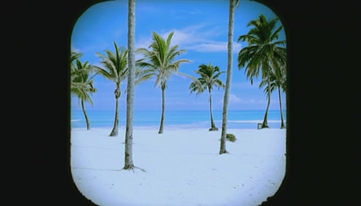 航向热带岛屿的冰山剧照的剧照