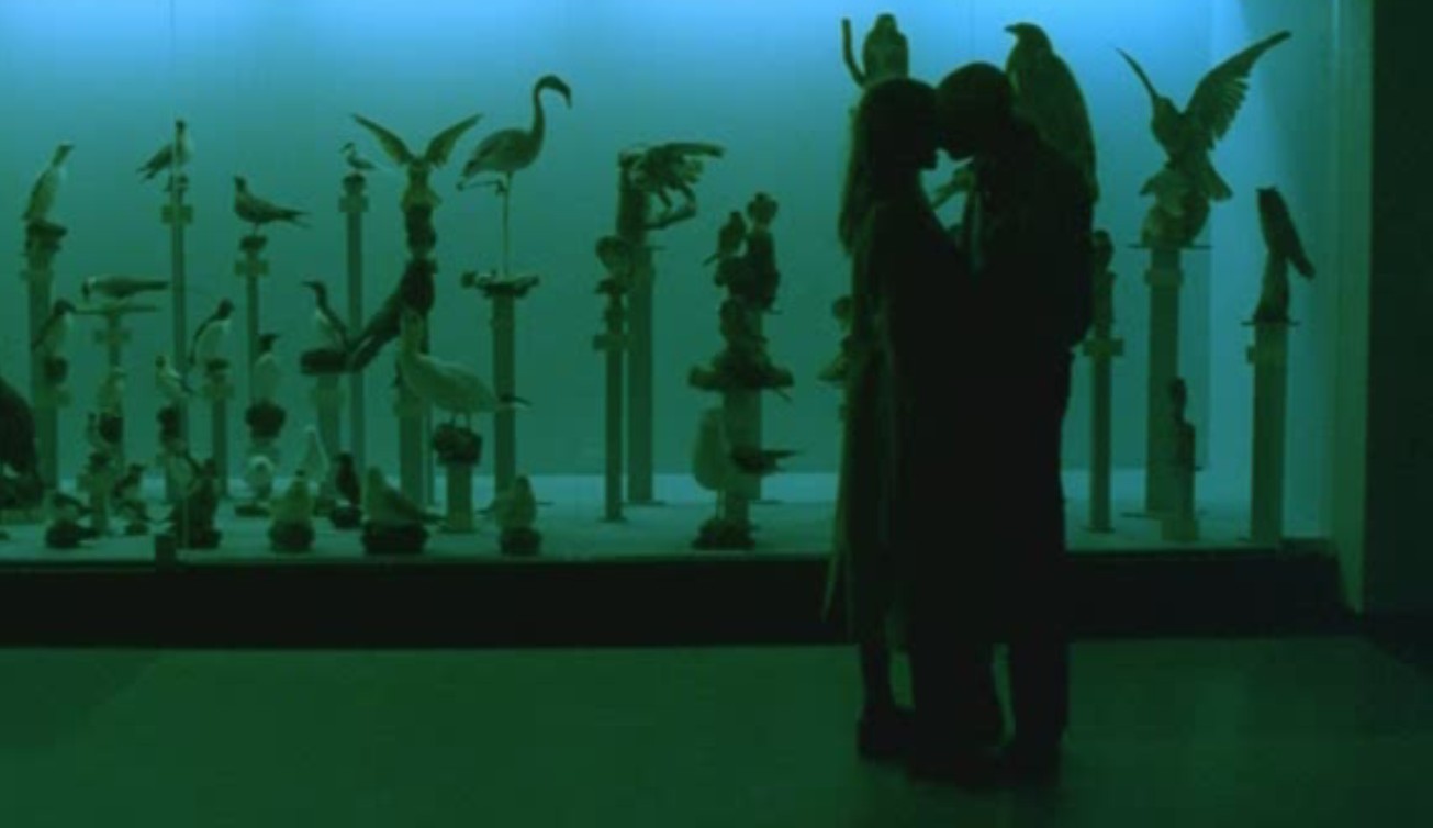 航向热带岛屿的冰山剧照的剧照