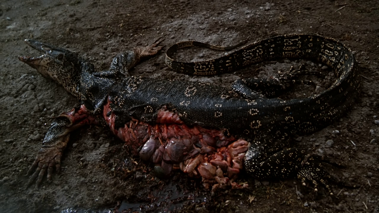 灵魂大搜索剧照的剧照