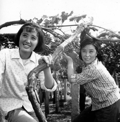 喜盈门剧照的剧照