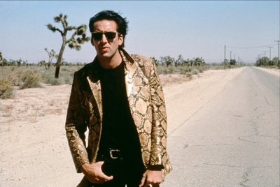 我心狂野剧照的剧照