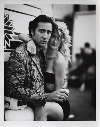 我心狂野剧照的剧照