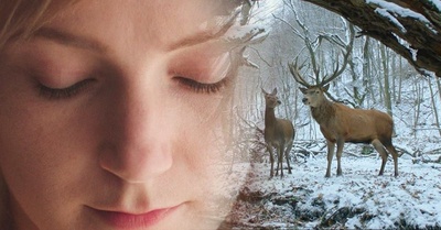 肉与灵剧照的剧照