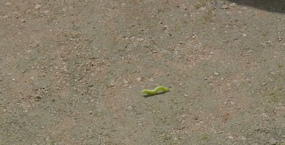 懂得又如何剧照的剧照