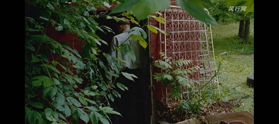 弹簧折刀剧照的剧照