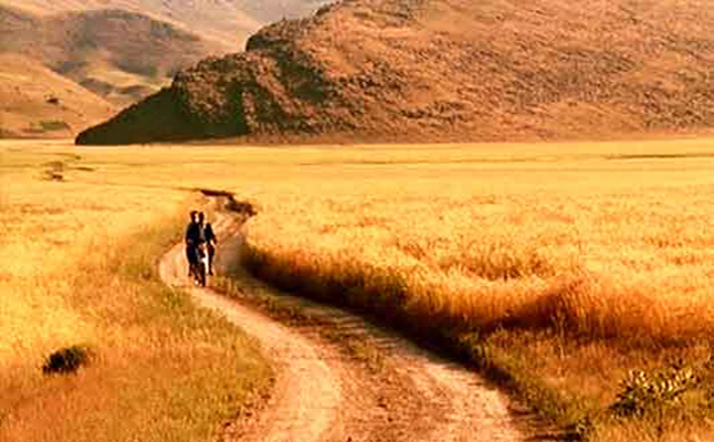 随风而逝剧照的剧照