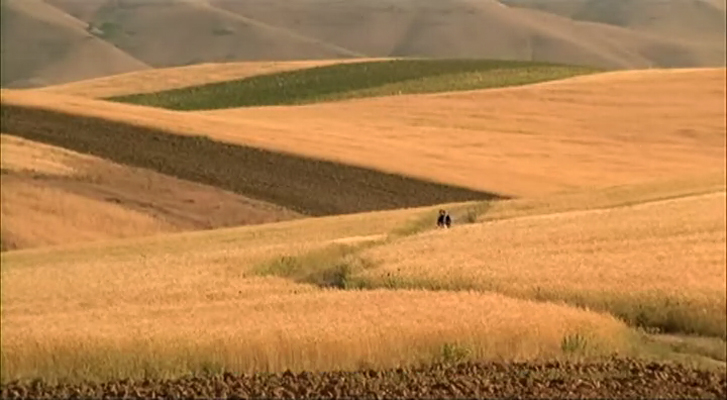 随风而逝剧照的剧照