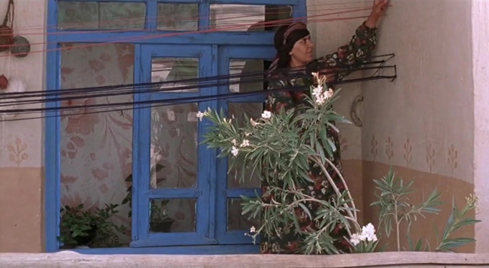 随风而逝剧照的剧照