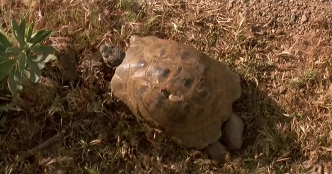 随风而逝剧照的剧照